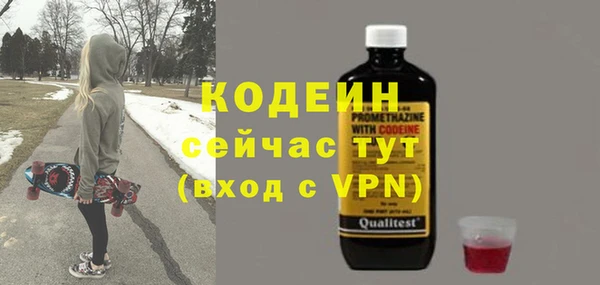 молекула духа Арсеньев