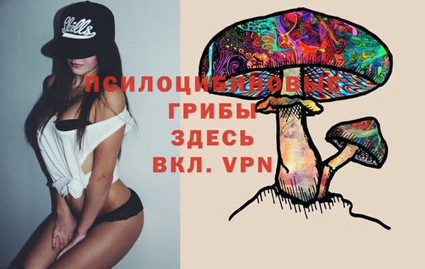 прущие грибы Балахна