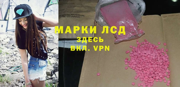 прущие грибы Балахна
