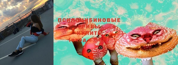 прущие грибы Балахна